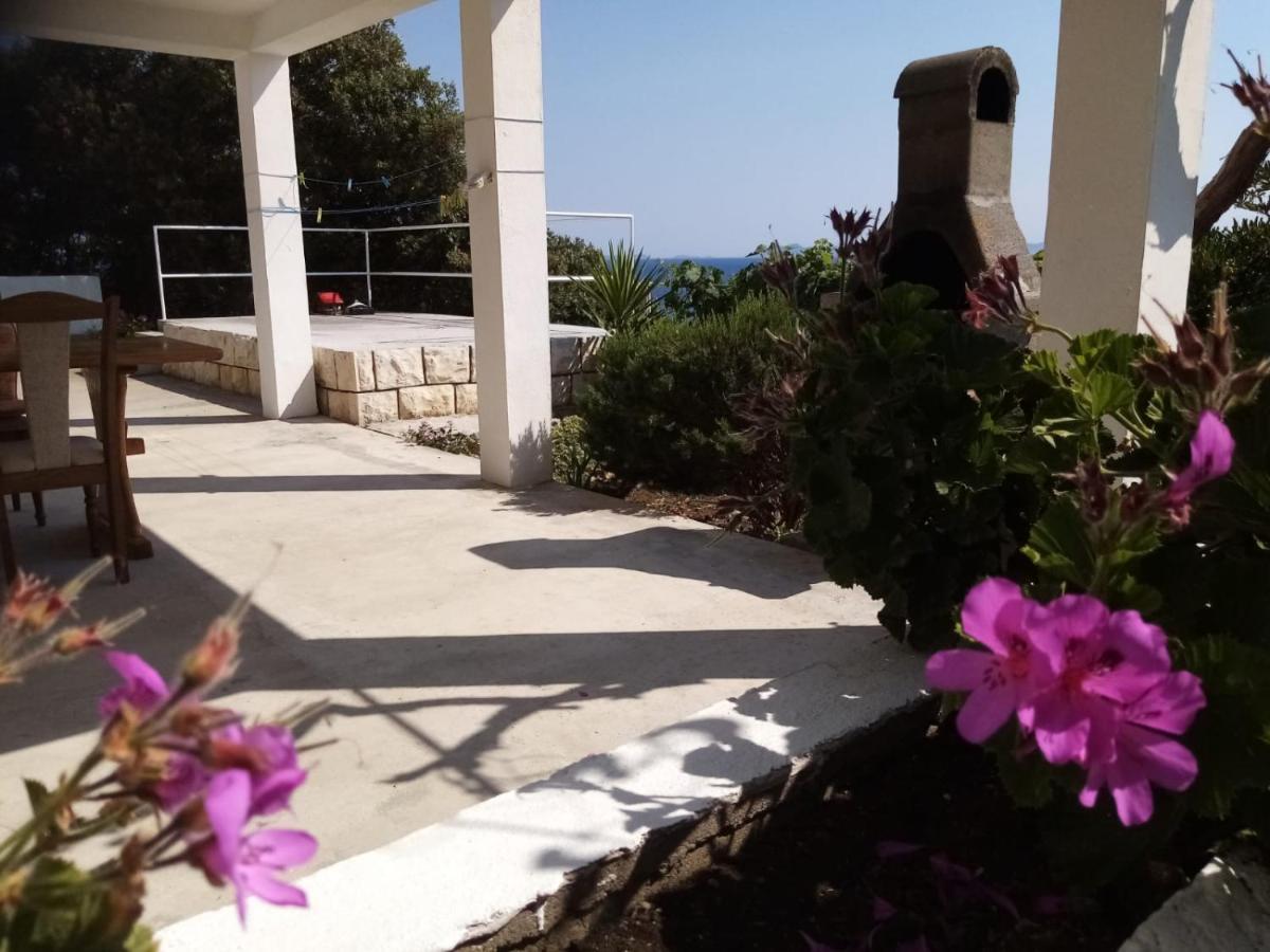 Apartman Laus Zavalatica Exterior photo